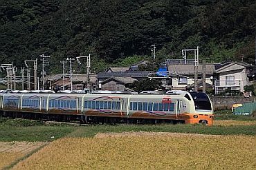 E653-1000_Inaho.jpg